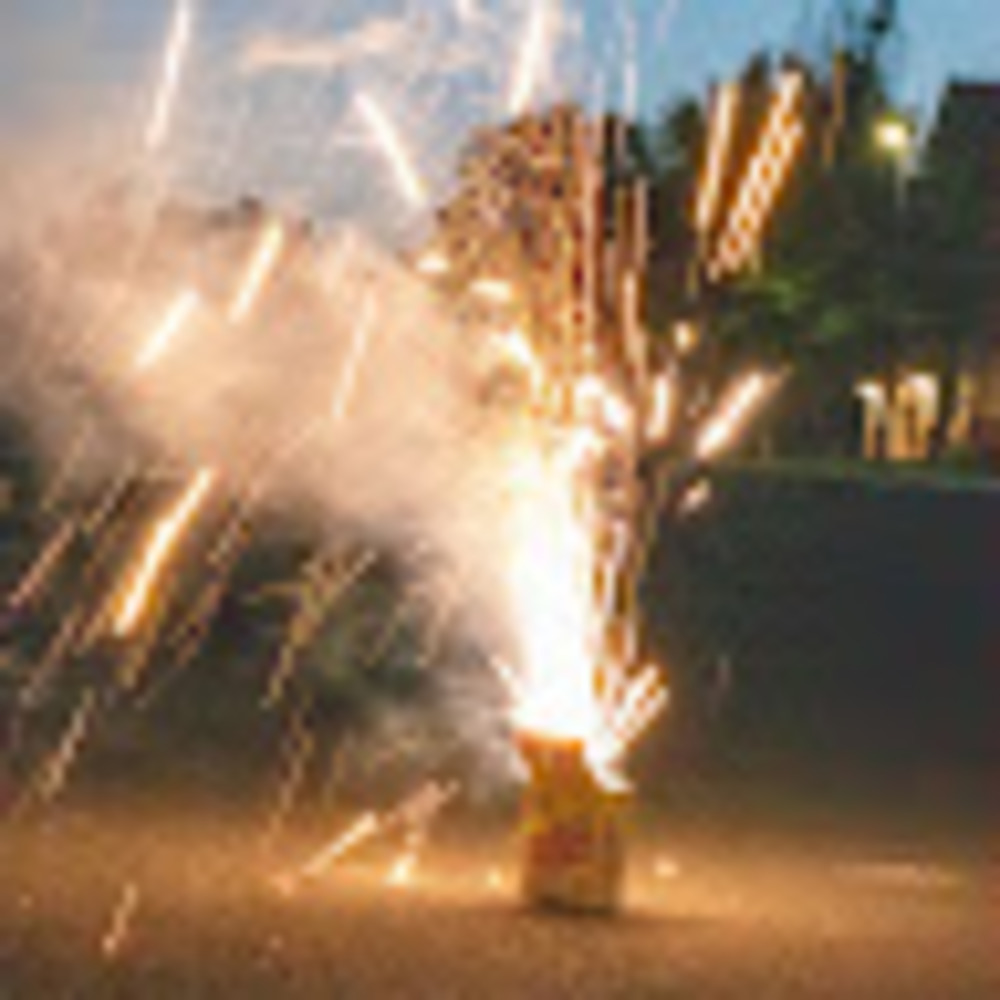 Meet your Posher, Sally